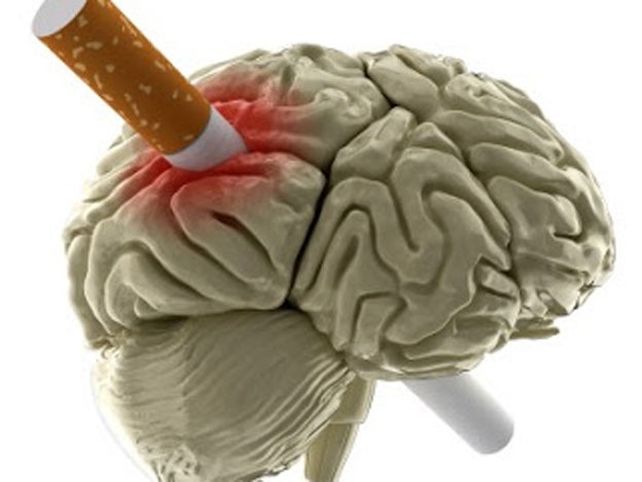 Estas 11 cosas dañan tu cerebro