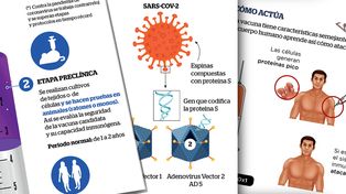 Vacunas contra la Covid-19 que llegarán a Argentina: los detalles
