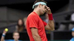 Juan Martín Del Potro habría evadido un millón de pesos por Ganancias