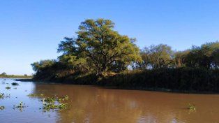 Se avanzó en la planificación de acciones de conservación de la reserva Humedales e Islas de Victoria, la comunicación y el diseño de nueva señalética