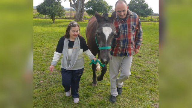 Don Uva: robaron una yegua utilizada para equinoterapia