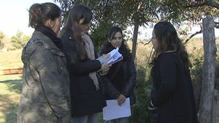 En 2013 se logró que 800 jóvenes vuelvan a estudiar
