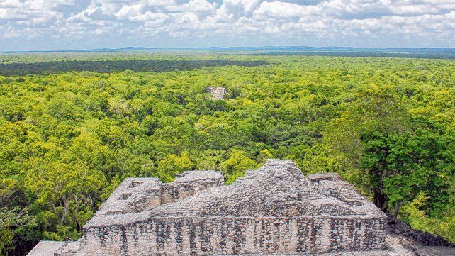 Ecoturismo. La Reserva de Biosfera de Calakmul, en el estado de Campeche, es uno de los escenarios ofrecidos para esta nueva experiencia de las comunidades indígenas. 