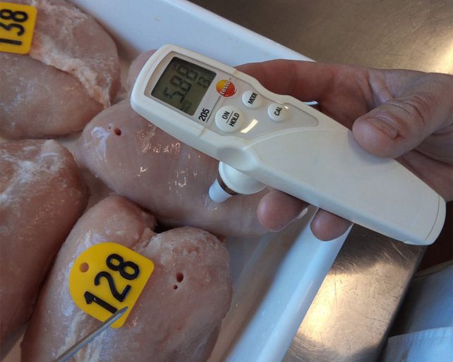 Super pechugas: investigadores lograron enriquecerlas con aceite Omega-3 de algas marinas