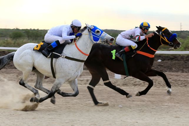 Turf: hubo banderazo en el hipódromo de Oro Verde