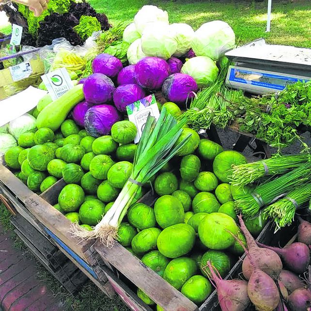 Agroecología. La comercialización es clave para la transformación.