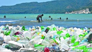 El Foro de Davos proyecta que para 2050 en los océanos habrá más plásticos que peces