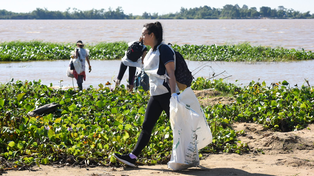 La mayoría de los residuos encontrados en la ribera del Paraná son plásticos de un solo uso.