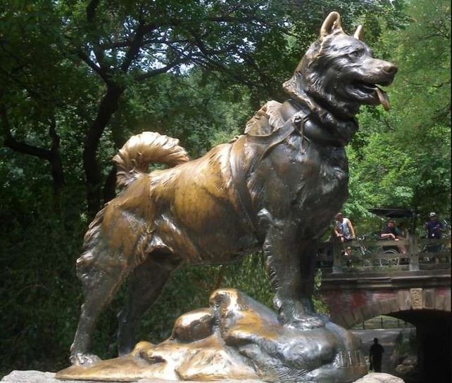 Día Nacional del Perro: merecido homenaje al mejor amigo de todos