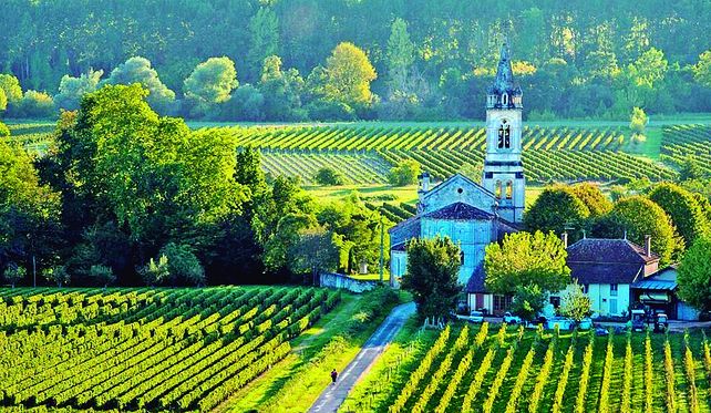 Entre castillos y viñedos: un recorrido por las zonas menos exploradas de Francia
