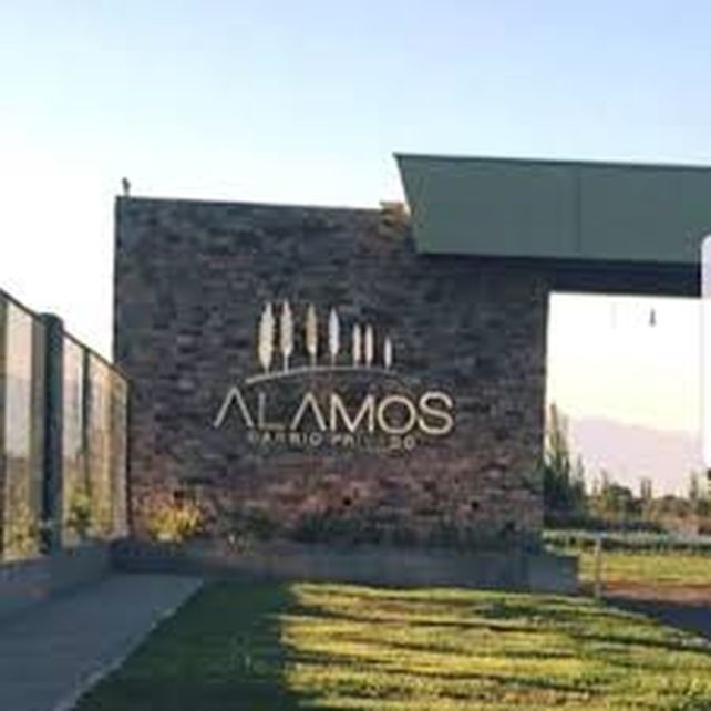 Aun no se sabe por donde ingresaron los ladrones