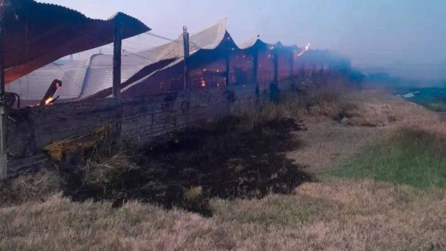 Incendio en un galpón rural de Villaguay dejó 500 cerdos muertos