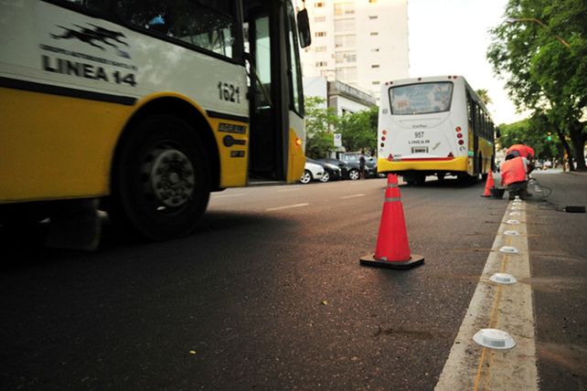Este martes se pone en marcha el carril exclusivo de avenida Rivadavia