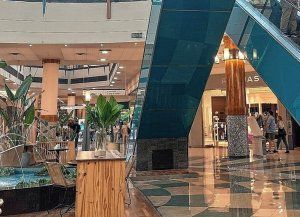 Insólito robo en un shopping de Rosario: intentó llevarse un aire acondicionado y terminó arrojándose al vacío