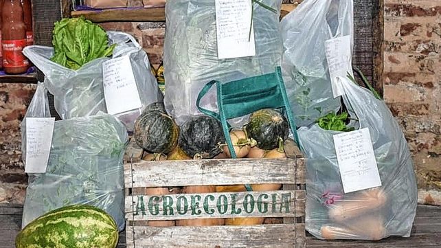 Más agroecología para parar la olla con alimentos sanos