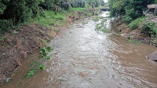 La lluvia no para en Feliciano: ya cayeron más de 200 milímetros de agua