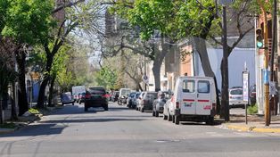 Insisten en la implementación de la onda verde en calle Francia