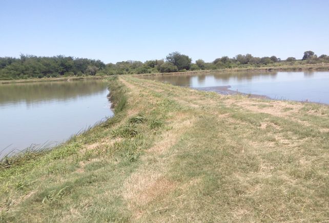 Al límite. Este año se deben licitar obras para ampliar la capacidad de la planta de tratamiento de líquidos cloacales