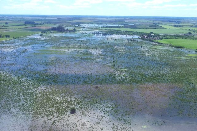 San Javier: cayeron 800 mm en 40 días
