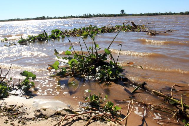 El Paraná sigue bajando y 11 familias volvieron a sus hogares