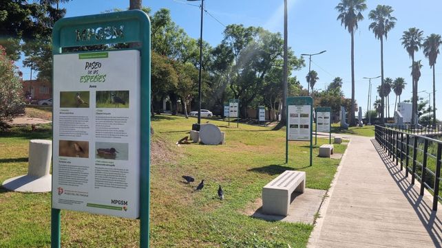 Con un paseo ribereño, Puerto San Martín puso en valor las márgenes del arroyo San Lorenzo