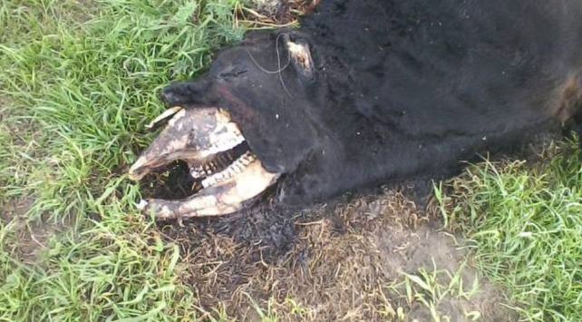 Foto: Seguí Noticias