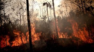 Bomberos Voluntarios de Santa Fe viajan a combatir los incendios