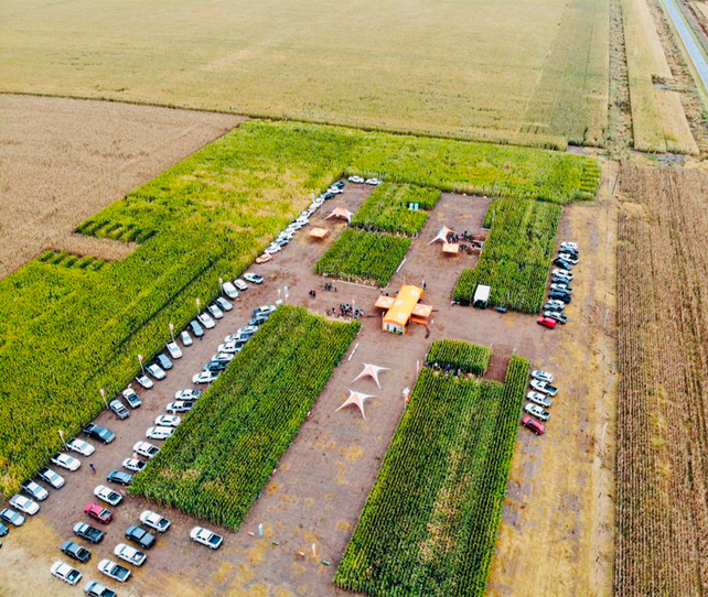 Ante un clima adverso, la nutrición resulta clave para un maíz tardío de alto rendimiento