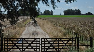 Un año de Milei: 60% de los productores sostiene que el presidente cumplió con las expectativas del sector