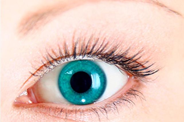 Cuatro cosas que se pueden averiguar mirando tus ojos