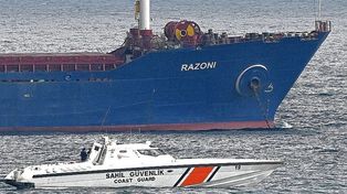 El primer barco con granos ucraniano llegó a destino