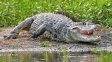 La reserva La Chinita se consolida como un refugio de la biodiversidad entrerriana