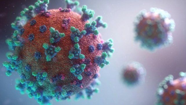 Detectaron una nueva variante del coronavirus de rápida propagación en Argentina