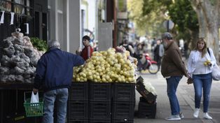 En pleno paro, una verdulería sacó los cajones a la calle. Ayer por la tarde, el movimiento de San Martín, en el distrito sur, parecía el habitual.