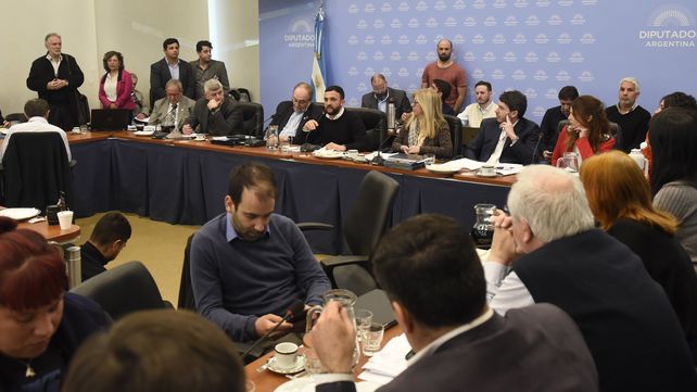 Vista de las reuniones de comisiones en el debate de la Ley de Humedales de la que se espera tener este jueves un dictamen para elevarlo al recinto.