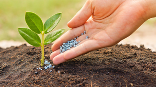 Nutrición fraccionada: sustentabilidad y rinde