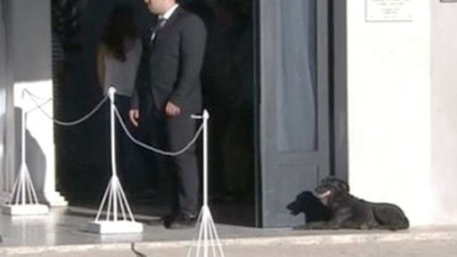 Nala siguió a Emiliano hasta el final