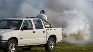 Equipos de la Secretaría de Salud municipal fumigan los barrios de Rosario para combatir el mosquito que transmite el dengue.&nbsp;