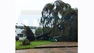 Violenta tormenta en Basavilbaso