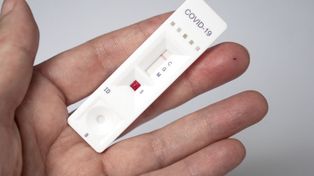 Coronavirus self-test: how is the process to report the results