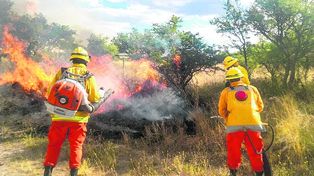 Los incendios del sur han devastado campos de tres provincias