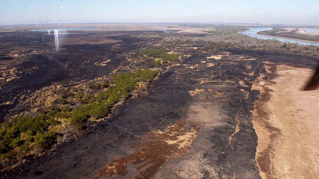 En lo que va del año ya son 500 mil las hectáreas quemadas en las islas