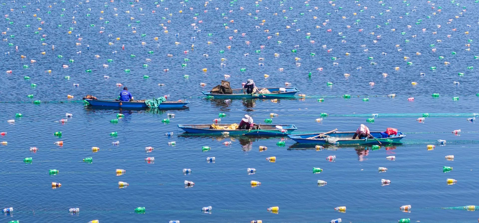 Los trabajadores liberan mejillones perla recién injertados en una red de cría en un embalse de la provincia de Jiangsu, Suqian, China. Fotografía: Costfoto/NurPhoto/REX/Shutterstock Los trabajadores liberan mejillones perla recién injertados en una red de cría en un embalse de la provincia de Jiangsu, Suqian, China. Fotografía: Costfoto/NurPhoto/REX/Shutterstock