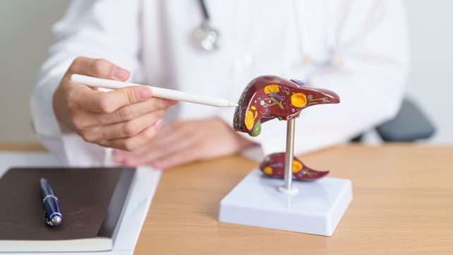 Trasplante hepático: el procedimiento de alta complejidad que restaura las funciones vitales