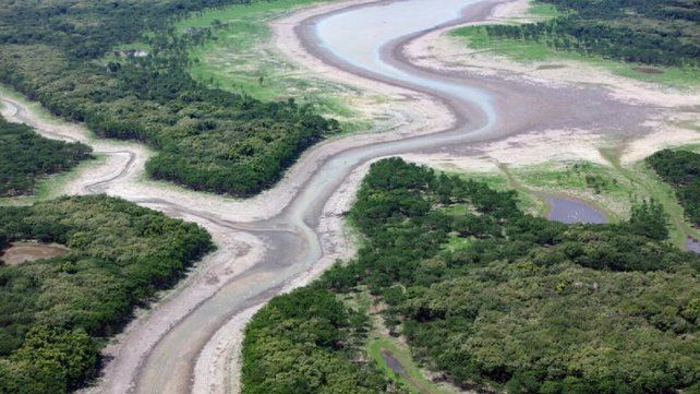 El río Amazonas se está secando y advierten sobre el cambio climático