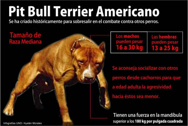 Entre Ríos: un perro de raza pitbull atacó y mató a una niña de dos años