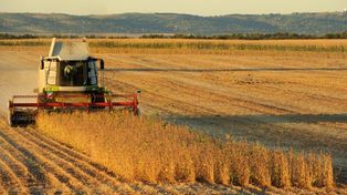 Censo agropecuario: la primera foto del campo en Santa Fe