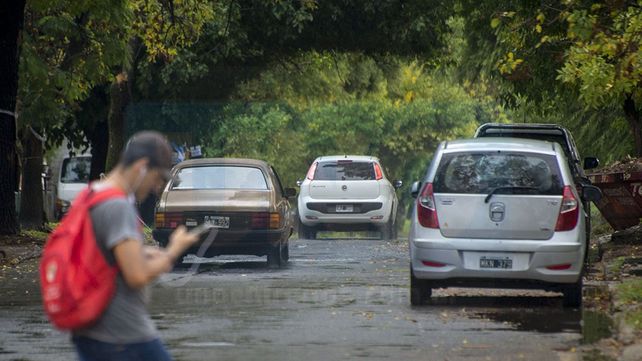 Según la Asamblea por la defensa de los árboles de bulevar Racedo están diagramando a Paraná como una ciudad&nbsp; pensada para el tránsito y no para las personas