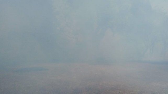 Este miércoles se vuelven a registrar incendios en el sur de Entre Ríos. En Médanos el fuego y el humo invaden las banquinas de la RN12