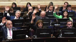 Por amplia mayoría, el Senado aprobó la quita de subsidios en el gas a más de 90 ciudades.&nbsp;